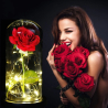 Eternal Rose in Glass with LED